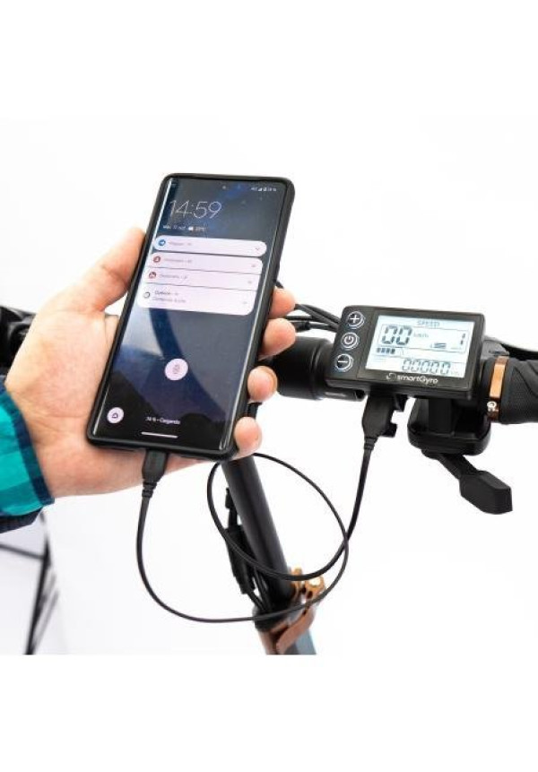 SmartGyro Speedway PRO Certificado